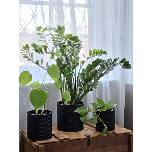 Blumentopf Rund Flechtoptik - Größen 17 20 23 cm Metall Matt