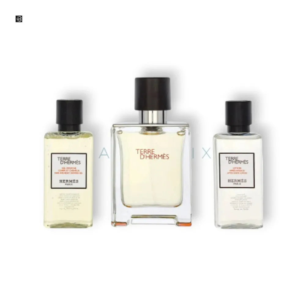 Hermes Terre D`Hermes Duftset - 50 ML EDT, 40 ML Duschgel