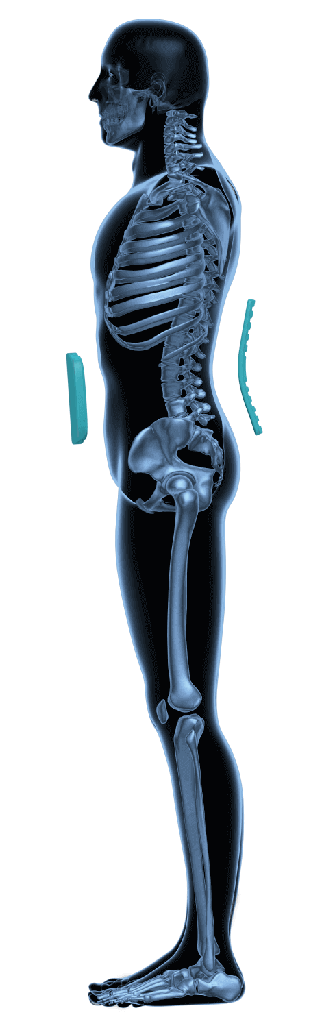 Protecție lombară dublă AccuTex Secure - Oppo 2951