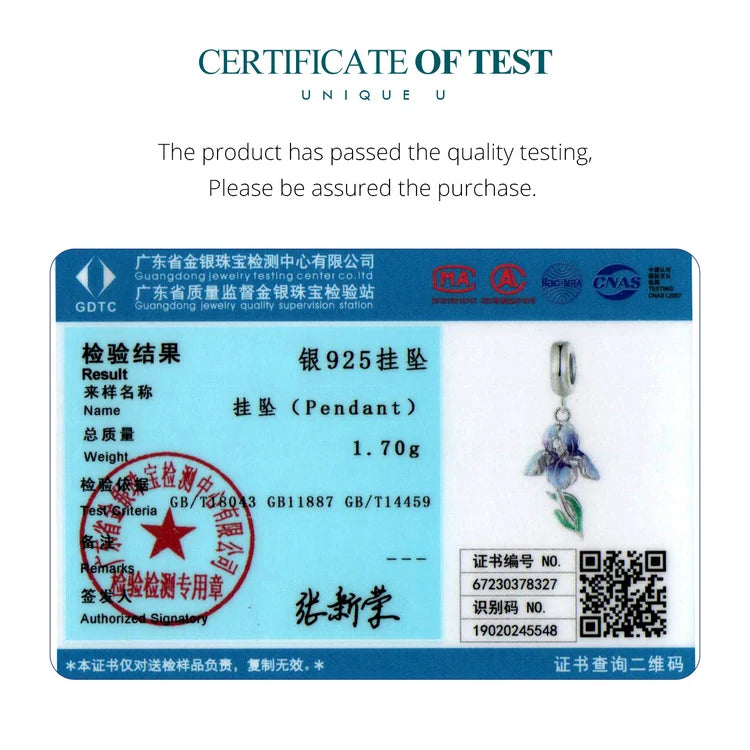 WOSTU 925 Sterling Silber Anhänger 2025: Frauen Junge Mädchen Haustier Kamera Biene AAA Cubic Zirkonia - Kaffee Marienkäfer Perlen DIY Original Armband 1.9g