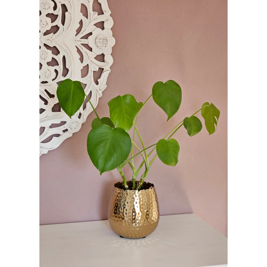 Blumentopf Hammerschlag Gold - Größe 18x18 cm Metall