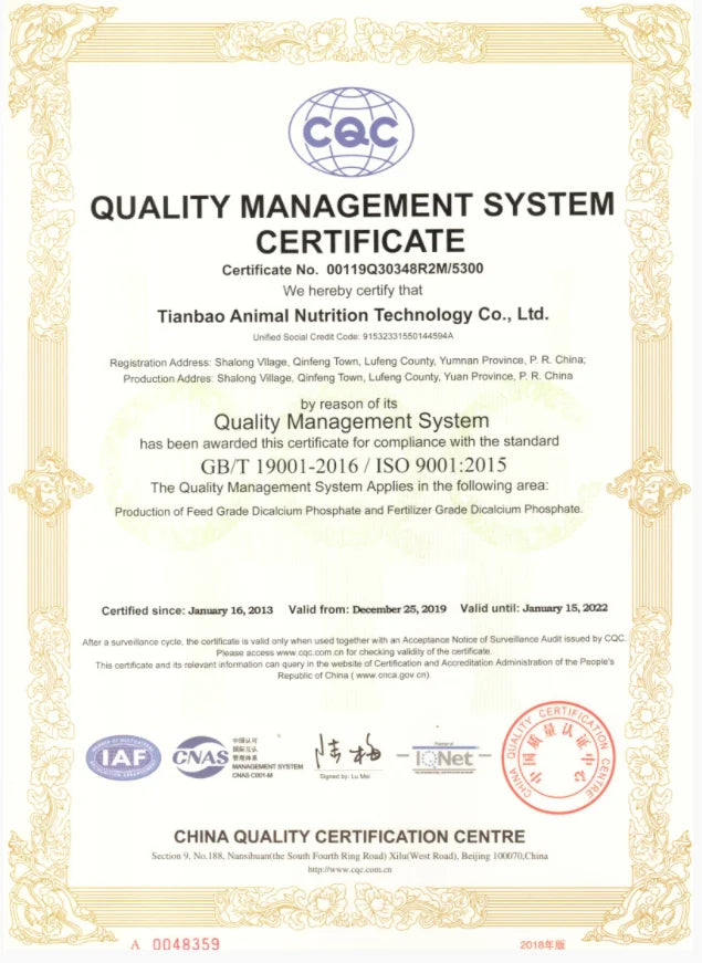 OEM Tracksuit Atmungsaktiv - 95% Polyester, Reißv., XL