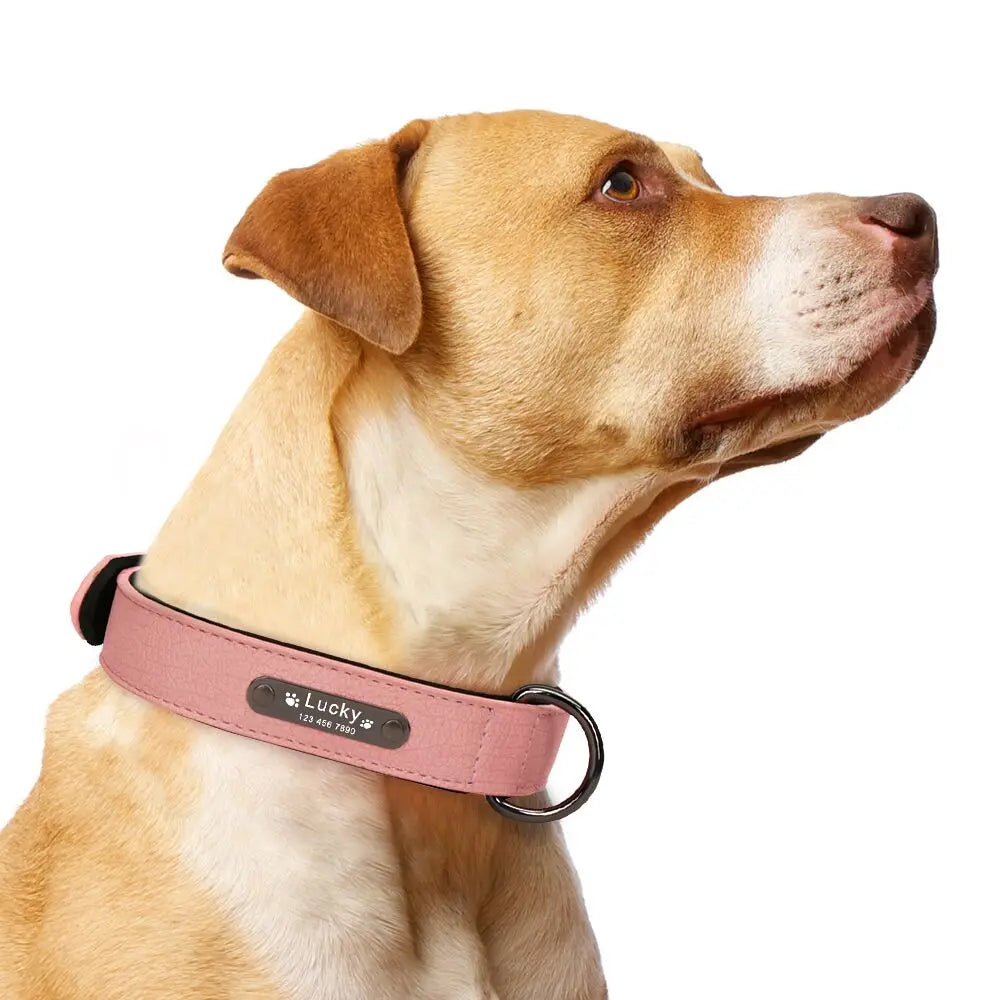 Anpassen Luxus Große Kleine Big Hund Halsband Leder Personalisiert, Breit Leder Personalisiert Halsband für Hunde Name Graviert