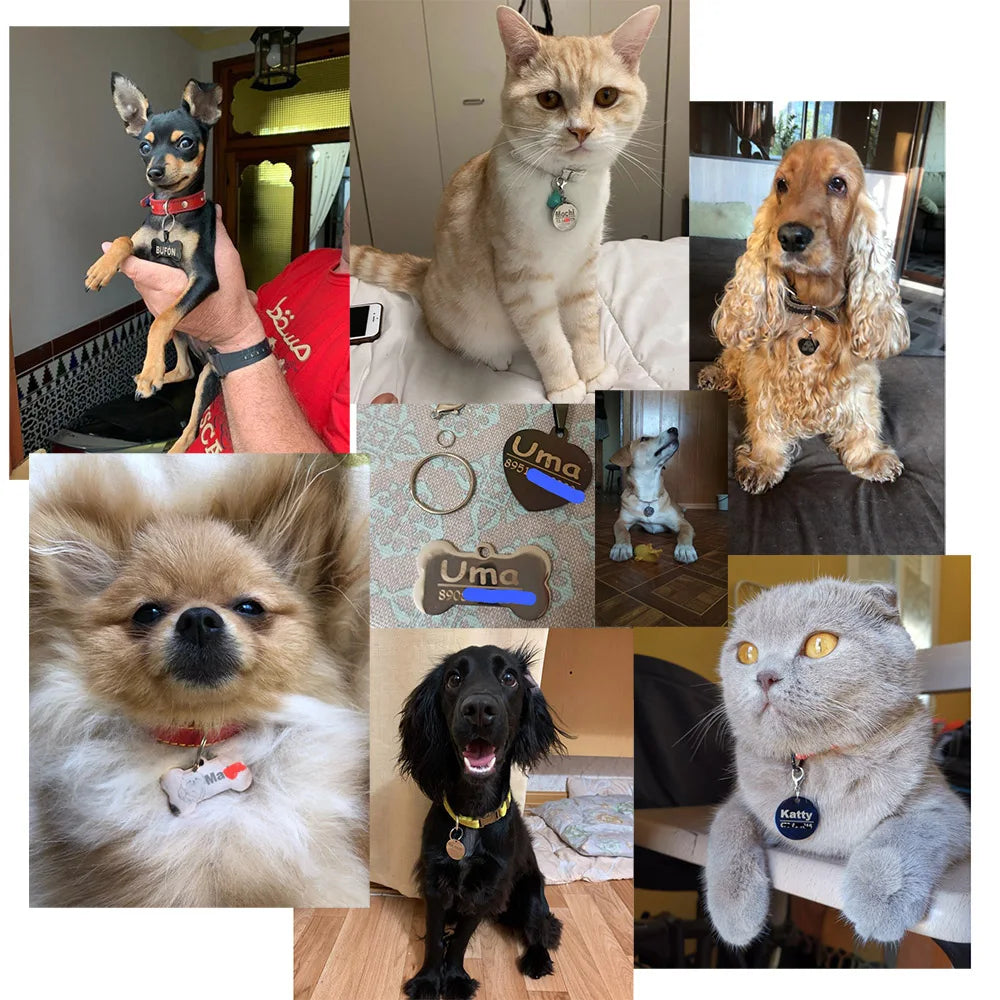 Etichetă de identificare personalizată pentru câini și pisici, gravată, personalizată, cu zgardă pentru animale de companie, cu nume, pandantiv cu os, breloc, colier, accesoriu pentru cățeluș, Dropshipping