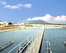 OEM Tracksuit Atmungsaktiv - 95% Polyester, Reißv., XL