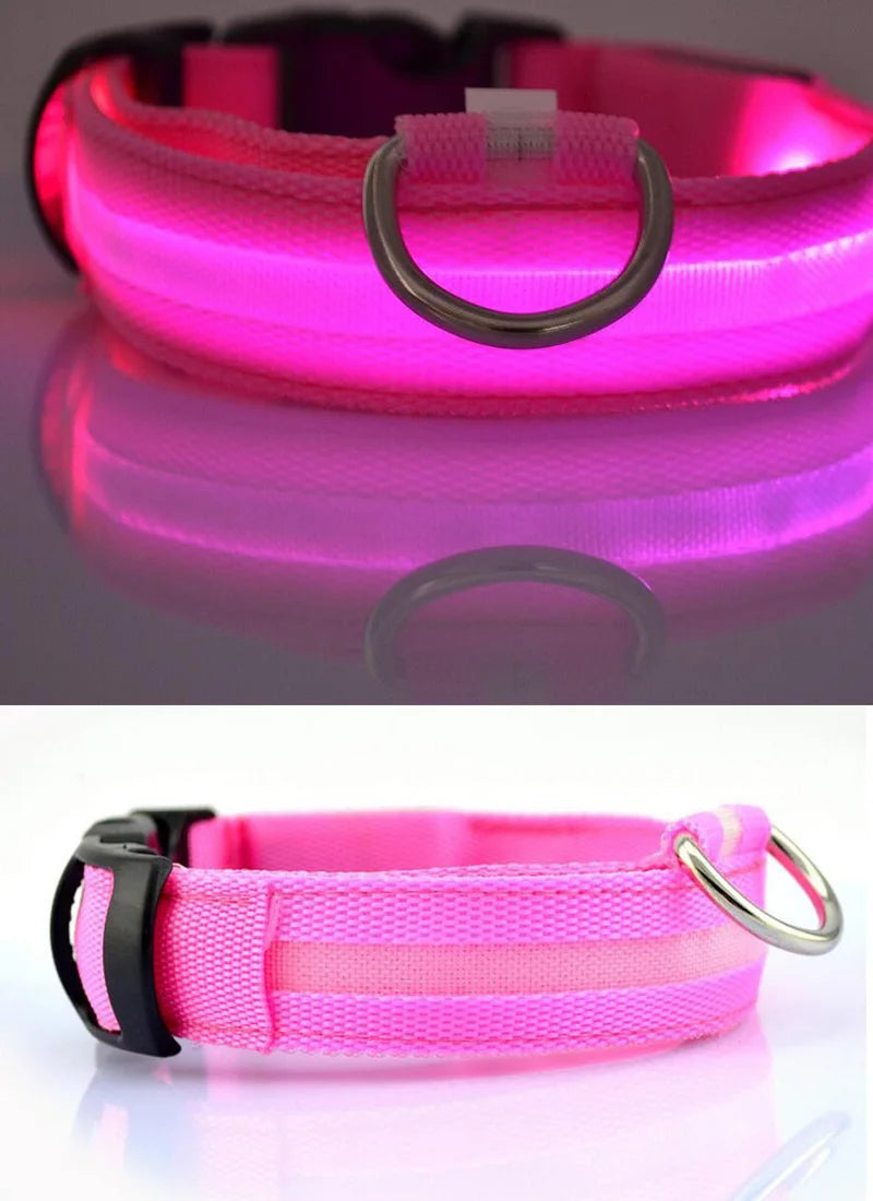 YUDODO Nylon LED Haustier Hund HalsbÀnder 2025: Nacht Sicherheit Blinkend Leuchtend Fluoreszierend - Tiere Hund Leine XS-XL 7 Farben Alle Jahreszeiten