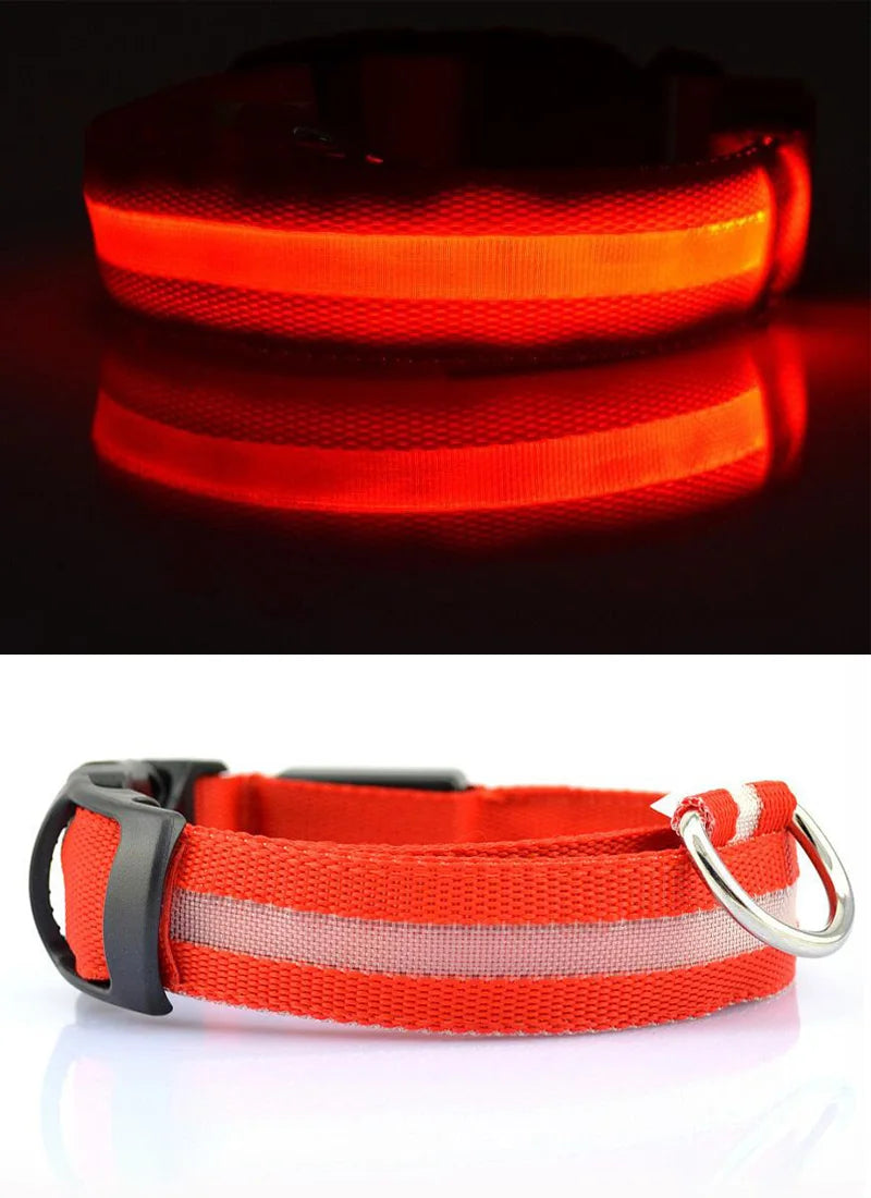 YUDODO Nylon LED Haustier Hund HalsbÀnder 2025: Nacht Sicherheit Blinkend Leuchtend Fluoreszierend - Tiere Hund Leine XS-XL 7 Farben Alle Jahreszeiten