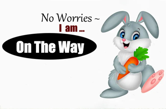 Womens Platform Sneakers White Tennis Shoes Woman Casual Low Top Fashion Chunky Canvas Sneakers 2025 New Spring Summer Trainers