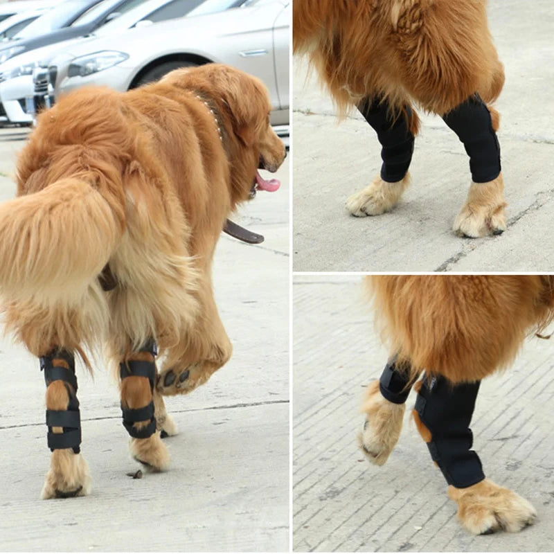 Hunde-Kniebandage 2025: Verstellbar Gelenk-Support - Pet Health Collection