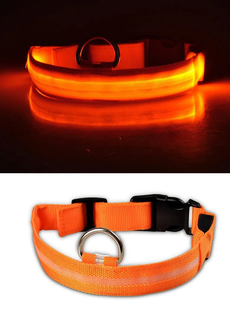 YUDODO Nylon LED Haustier Hund HalsbÀnder 2025: Nacht Sicherheit Blinkend Leuchtend Fluoreszierend - Tiere Hund Leine XS-XL 7 Farben Alle Jahreszeiten
