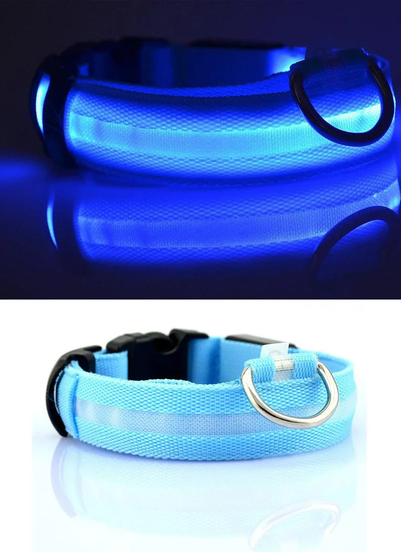 YUDODO Nylon LED Haustier Hund HalsbÀnder 2025: Nacht Sicherheit Blinkend Leuchtend Fluoreszierend - Tiere Hund Leine XS-XL 7 Farben Alle Jahreszeiten