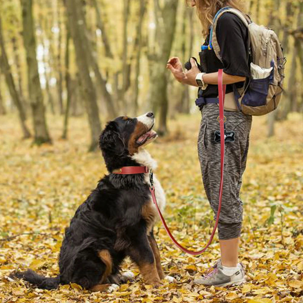 Anpassen Leder Hund Halsband Leine Set Personalisiert Haustier Halsband Leine Kostenlose Graviert Namensschild Für Kleine Mittlere Große Hunde