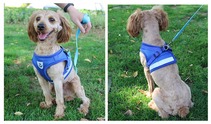 Reflektierend Katze Geschirr Leine Set 2025: YUDODO Nylon Mesh Kätzchen Welpen - Hunde Weste Geschirr Yorkies Mops S/M/L/XL Atmungsaktiv Verstellbar Schnell Lösbar