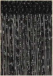 Shiny 3x2,6m Türteiler - Fadenvorhang, 260x300 cm Wohnzimmer