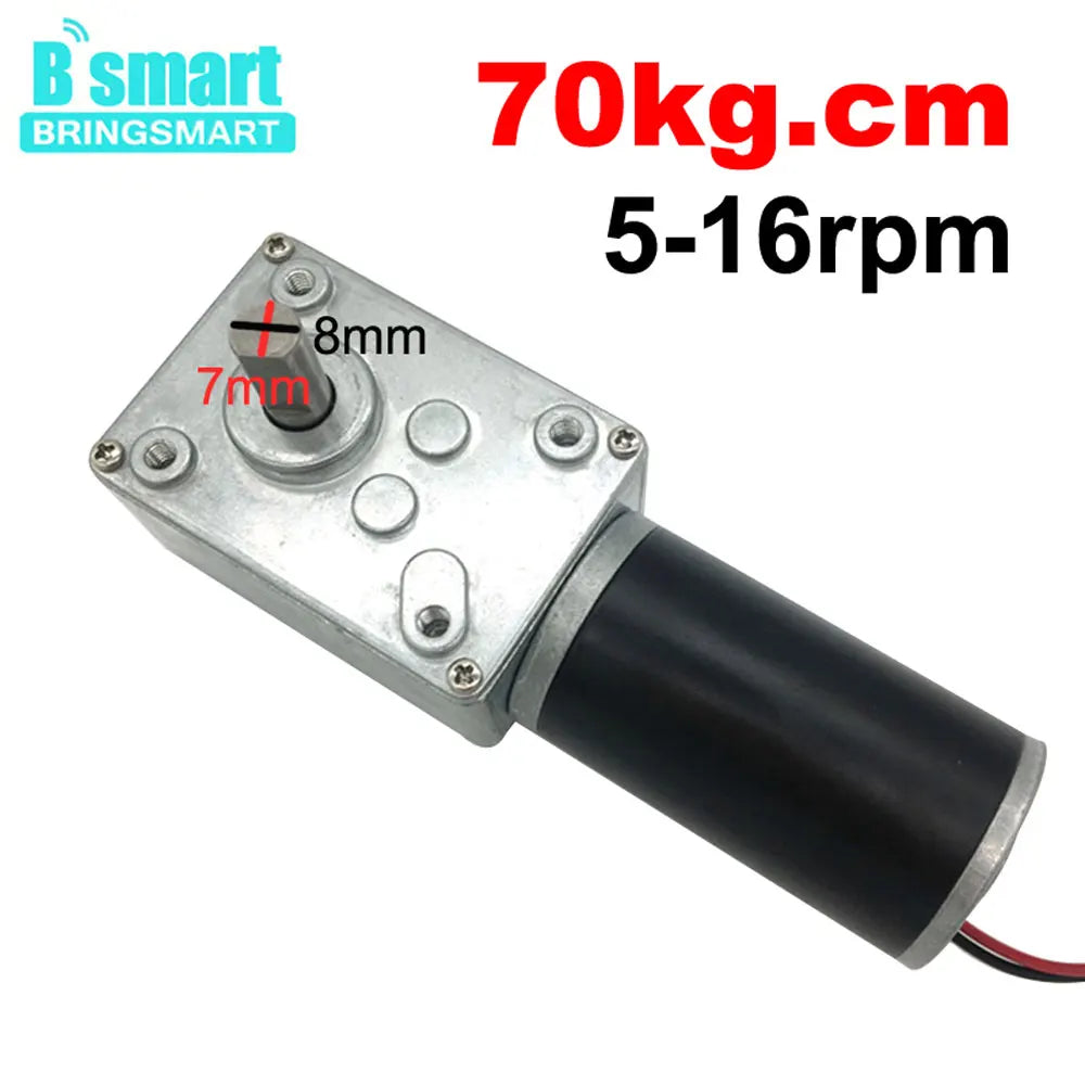 Worm Gear Motor 12V 24V Reversed 12-470rpm DC Motor High Torque 3.4-70kg Self-Lock For Curtain Machine Customized Home Equipment