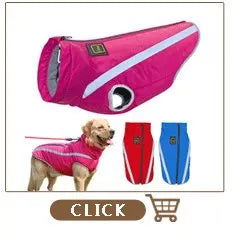 Personalisiert Hund ID Halsband Echtes Leder Kleine Mittlere Hunde Katze Halsband Anpassen Haustier Name Und Telefonnummer Kostenlose Gravur