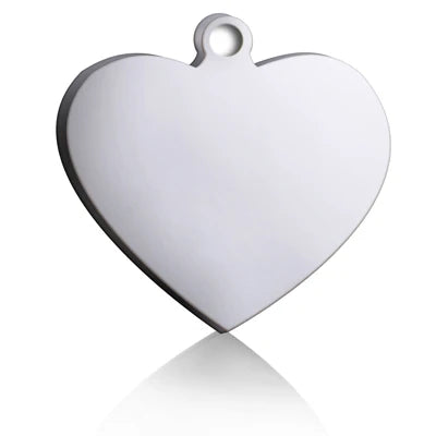 PAWFECT Etichetă de identificare personalizată pentru câini și pisici 2025: Pandantiv gravat personalizat pentru zgardă de animale de companie - Breloc cu nume din os, colier pentru cățeluș, oțel inoxidabil, Dropshipping