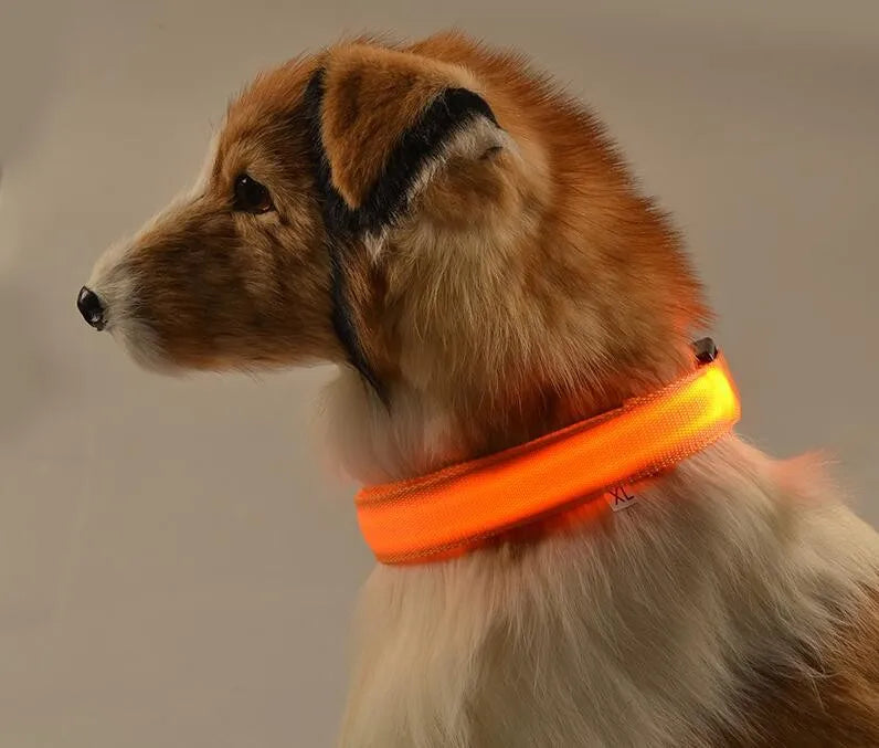 YUDODO Nylon LED Haustier Hund HalsbÀnder 2025: Nacht Sicherheit Blinkend Leuchtend Fluoreszierend - Tiere Hund Leine XS-XL 7 Farben Alle Jahreszeiten