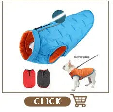 Zgardă personalizată pentru câini, din piele naturală, pentru câini mici și medii, pentru pisici, personalizează numele și numărul de telefon al animalului, gravare gratuită