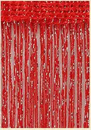 Shiny 3x2,6m Türteiler - Fadenvorhang, 260x300 cm Wohnzimmer