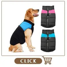 Personalisiert Hund ID Halsband Echtes Leder Kleine Mittlere Hunde Katze Halsband Anpassen Haustier Name Und Telefonnummer Kostenlose Gravur