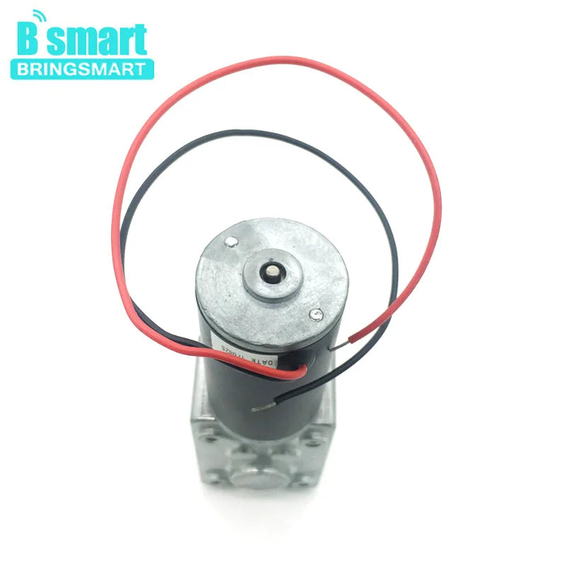 Worm Gear Motor 12V 24V Reversed 12-470rpm DC Motor High Torque 3.4-70kg Self-Lock For Curtain Machine Customized Home Equipment