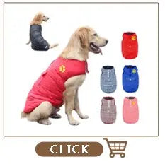 Zgardă personalizată pentru câini, din piele naturală, pentru câini mici și medii, pentru pisici, personalizează numele și numărul de telefon al animalului, gravare gratuită