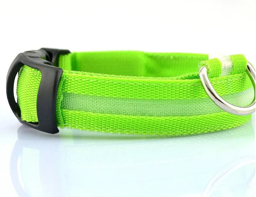 YUDODO Nylon LED Haustier Hund HalsbÀnder 2025: Nacht Sicherheit Blinkend Leuchtend Fluoreszierend - Tiere Hund Leine XS-XL 7 Farben Alle Jahreszeiten