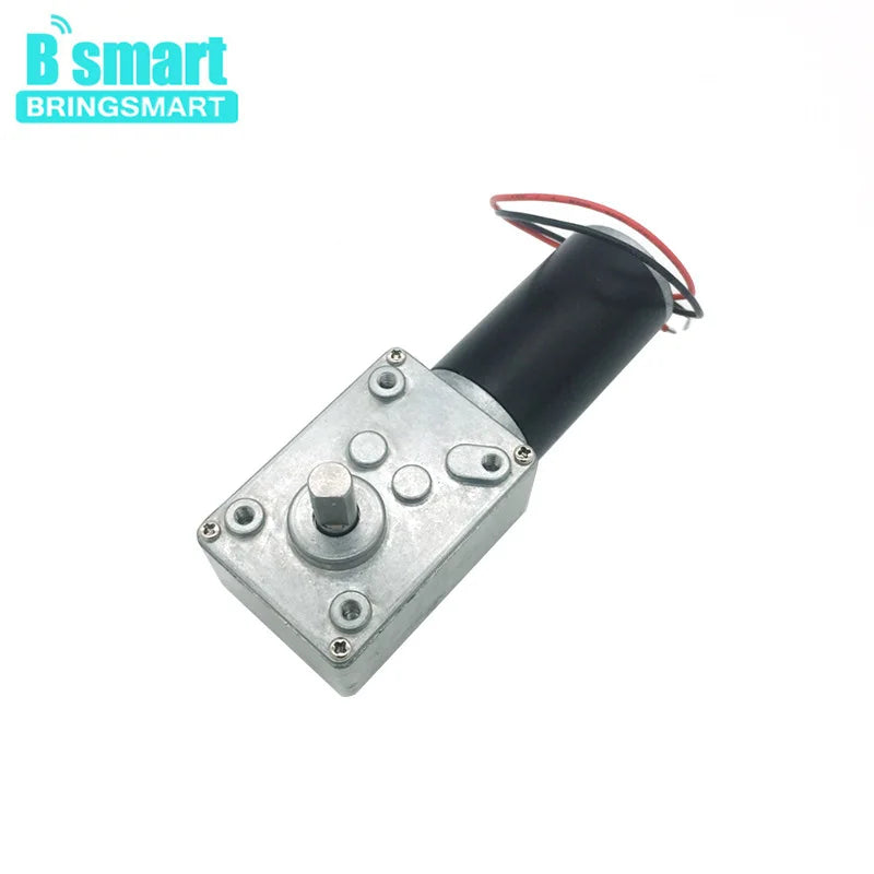 Worm Gear Motor 12V 24V Reversed 12-470rpm DC Motor High Torque 3.4-70kg Self-Lock For Curtain Machine Customized Home Equipment