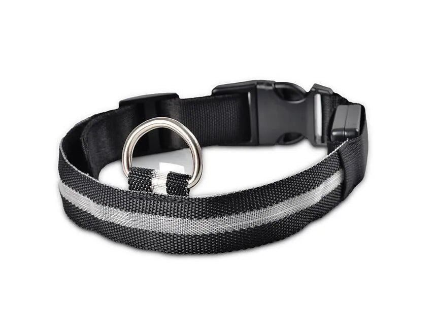 YUDODO Nylon LED Haustier Hund HalsbÀnder 2025: Nacht Sicherheit Blinkend Leuchtend Fluoreszierend - Tiere Hund Leine XS-XL 7 Farben Alle Jahreszeiten