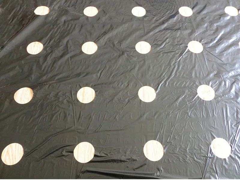 Choice TW-AF-042 Perforierte Mulchfolie - 95cm50m 0.02mm PE