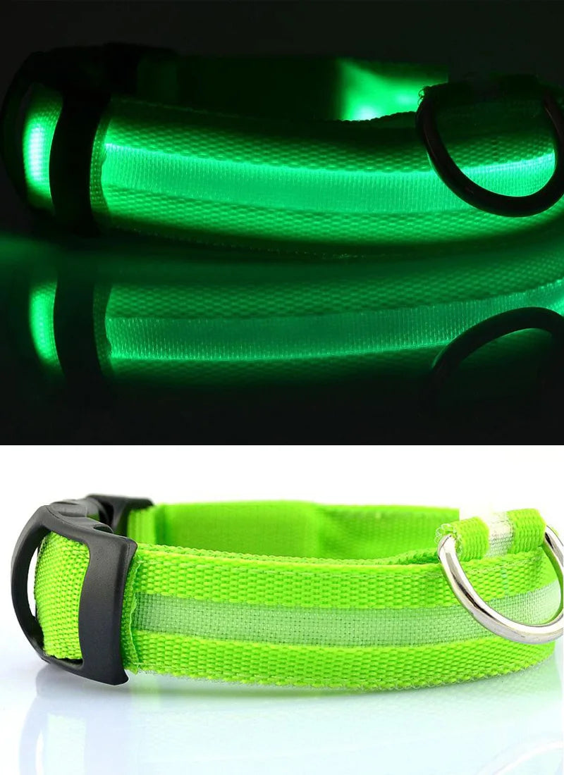 YUDODO Nylon LED Haustier Hund HalsbÀnder 2025: Nacht Sicherheit Blinkend Leuchtend Fluoreszierend - Tiere Hund Leine XS-XL 7 Farben Alle Jahreszeiten