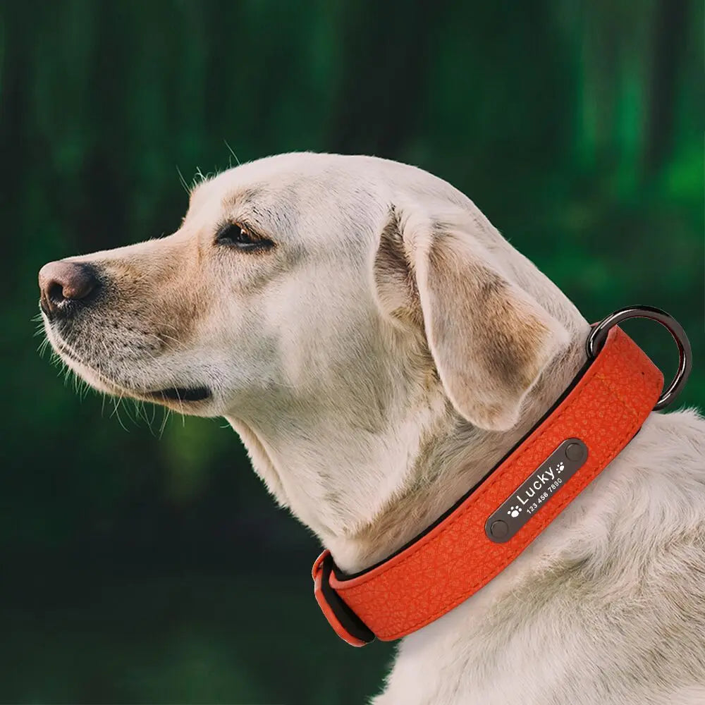 Anpassen Luxus Große Kleine Big Hund Halsband Leder Personalisiert, Breit Leder Personalisiert Halsband für Hunde Name Graviert