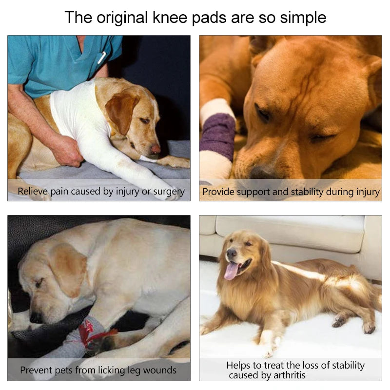 Hunde-Kniebandage 2025: Verstellbar Gelenk-Support - Pet Health Collection