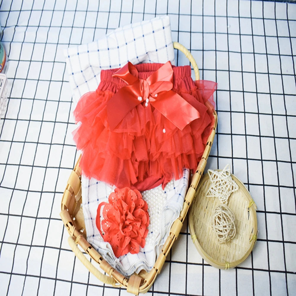 Baby-Tutu-Set 2025: Tulle-Bloomers Regenbogen-Rock - Newborn Fashion Collection