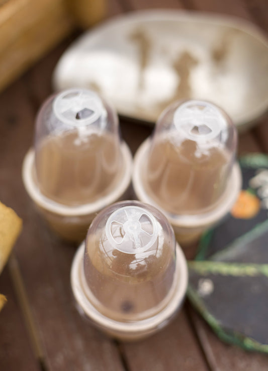 BioGrow Kompostierbare Anzuchtstöpfe - Höhe 11,5 cm Durchmesser 3,9–6 cm