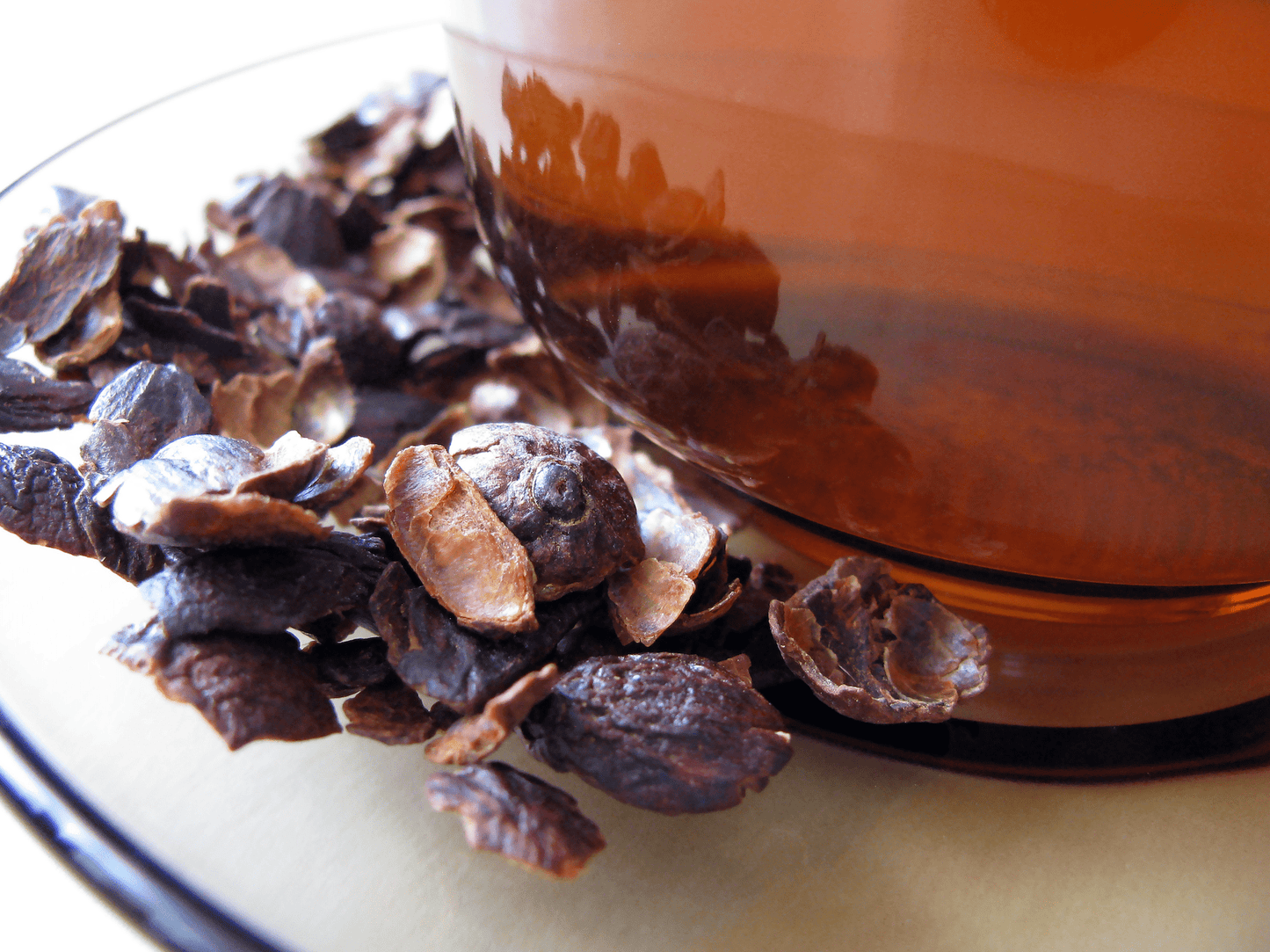 Cascara I Kaffeekirschen-Tee aus Costa Rica