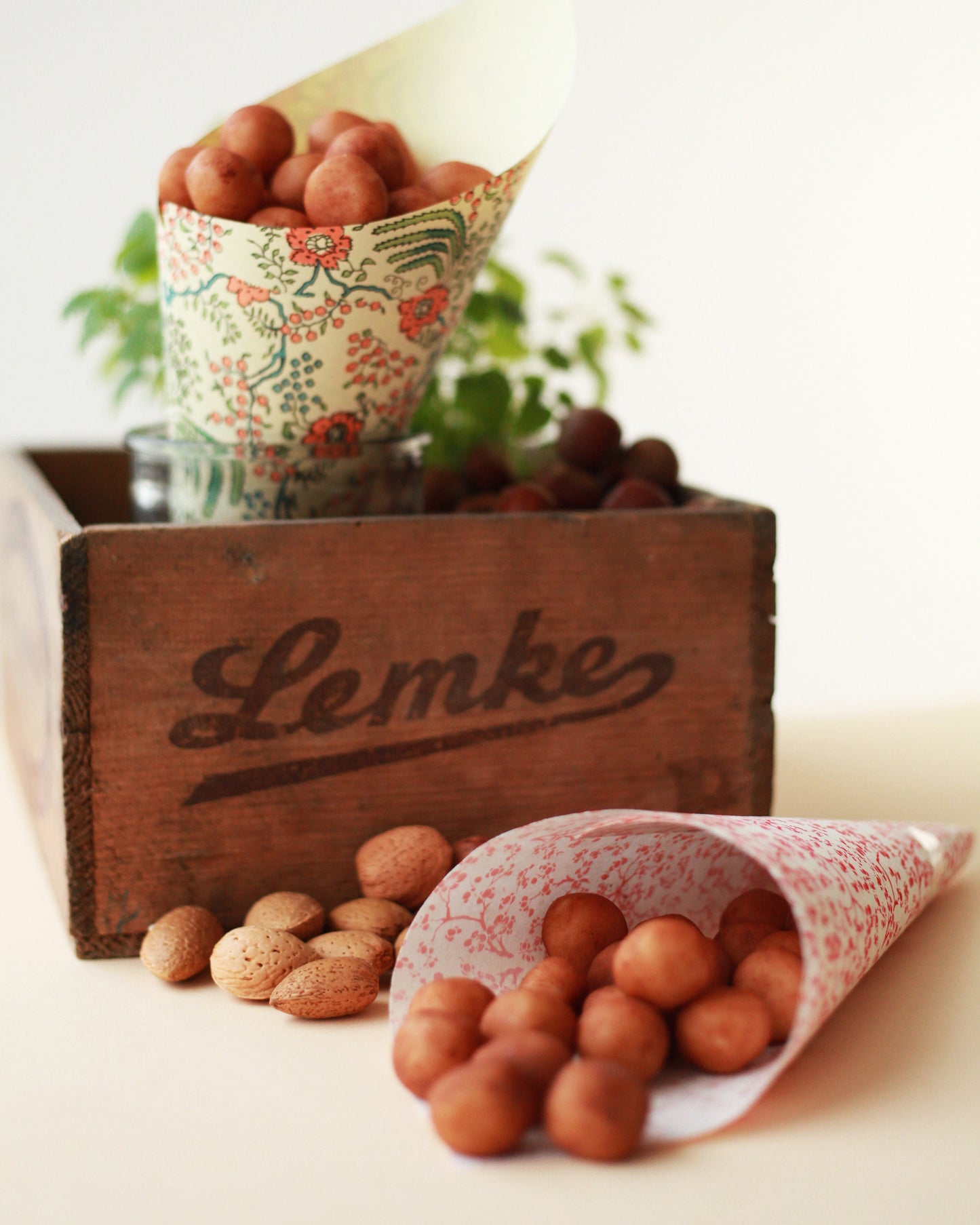 Marțipan Lemke Fine Berlin Simply Pure - Capacitate 1 kilogram, conținut de migdale 54%, pentru praline de copt