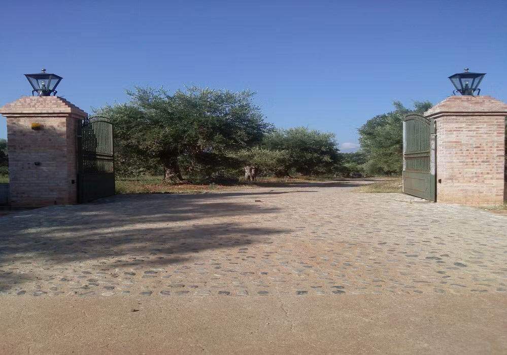 Ulei de măsline organic extravirgin Palombari - Capacitate 5 litri, Dimensiuni 25 x 9 cm, Origine Calabria