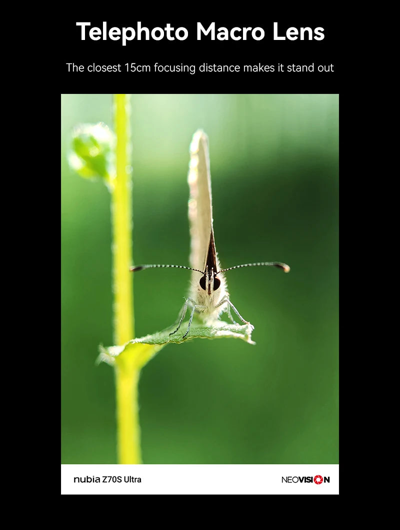 Nubia Z70s Ultra Photographer Edition - 6600mAh 80W 6,85 Zoll