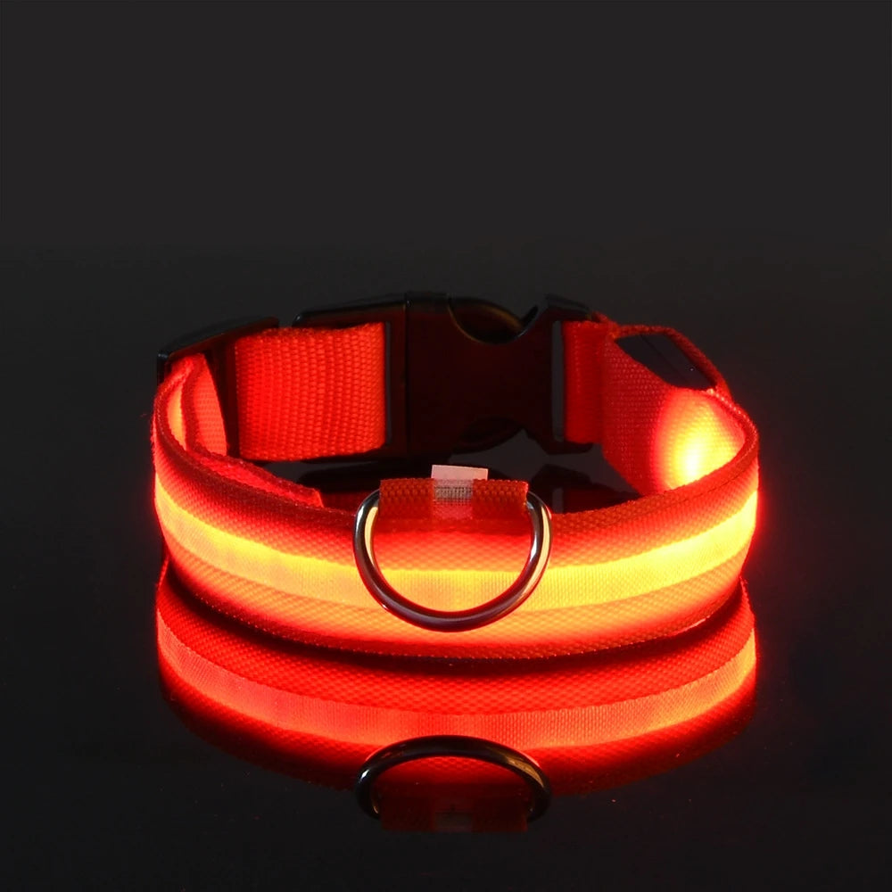 GlowDog Pro LED blinkend Leine - Nylon 1,5 m, USB 5V