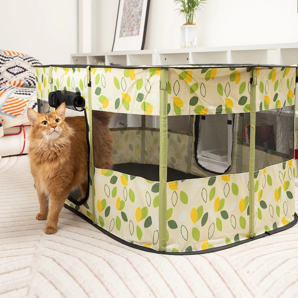 Katzenhaus 2025: Faltbar Indoor-Pet Zelt - Multi-Pet Care Collection
