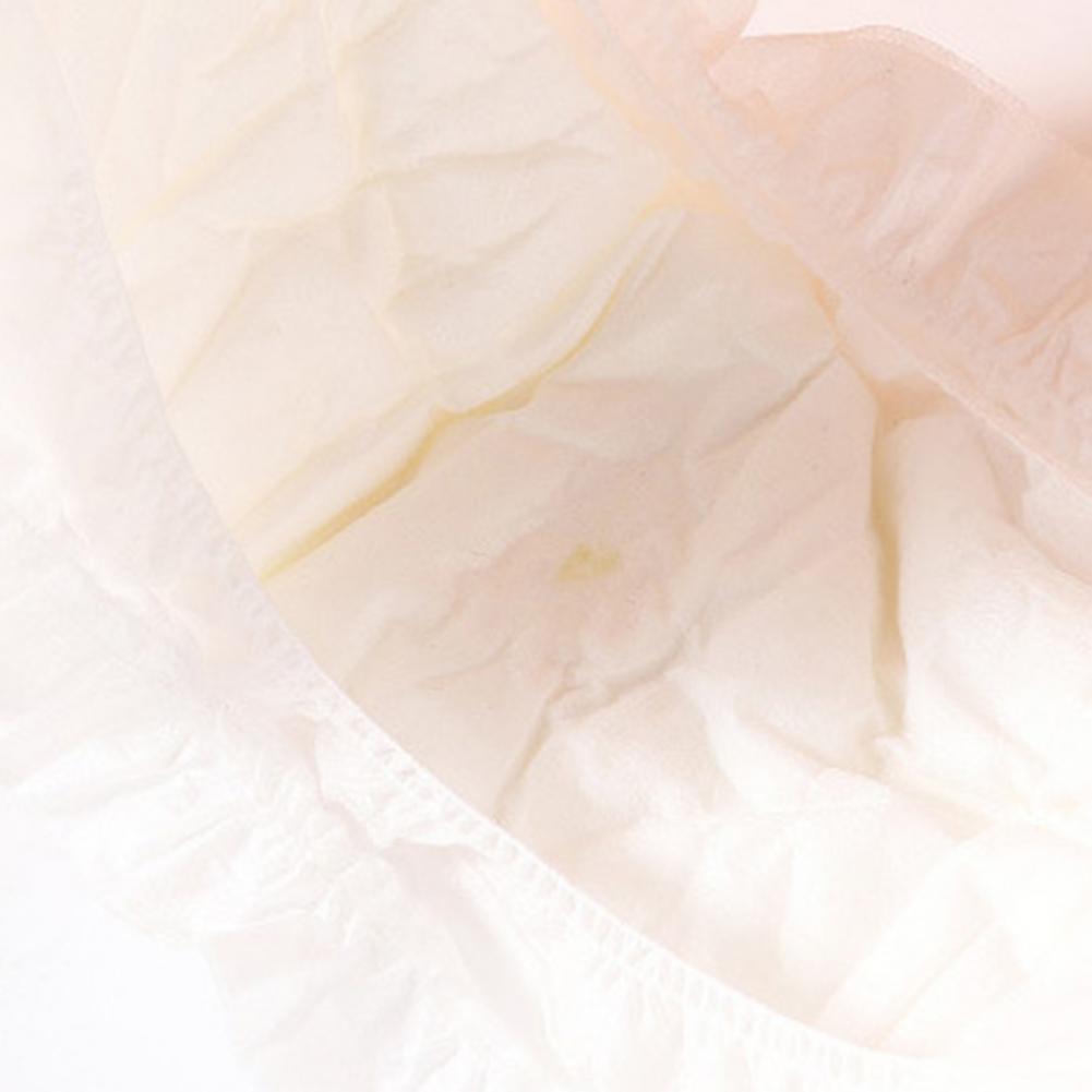 PetCare Hunde Windeln Einweg dünn - 12 Stk, Größe M