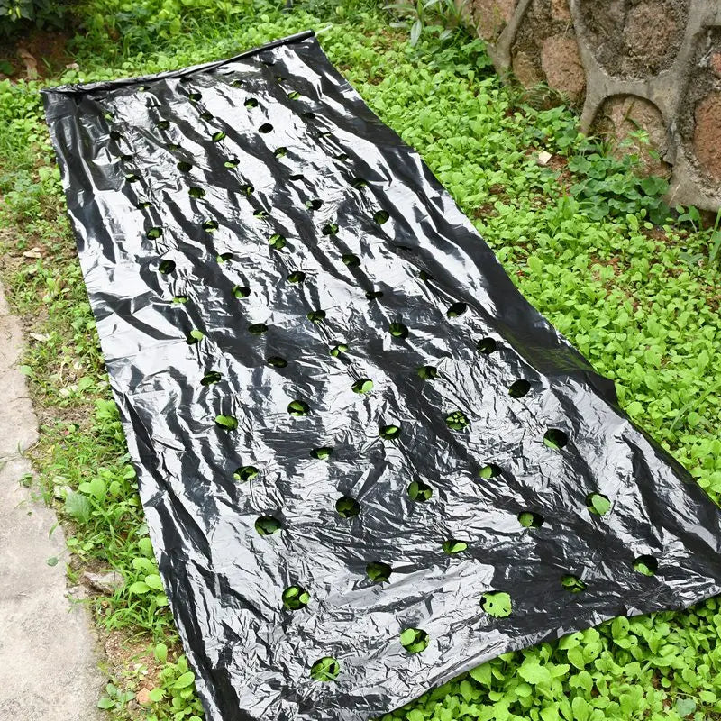 Tewango Mulchfolie Perforiert - 0,95 m 5 Löcher 15 cm Abstand
