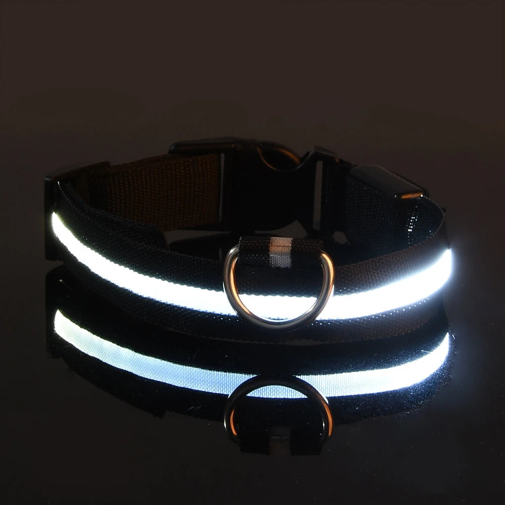 GlowDog Pro LED blinkend Leine - Nylon 1,5 m, USB 5V