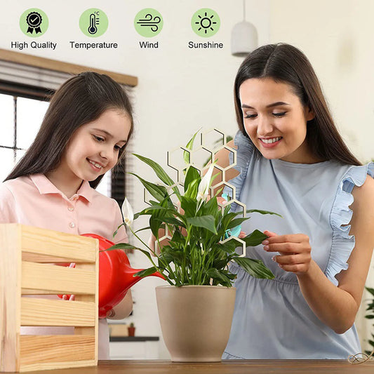 Honeycomb Shaped Plants Trellis Potted Plants Supporting DIY Frame for Indoor and Outdoor Plants Garden Planting Supporting Rack