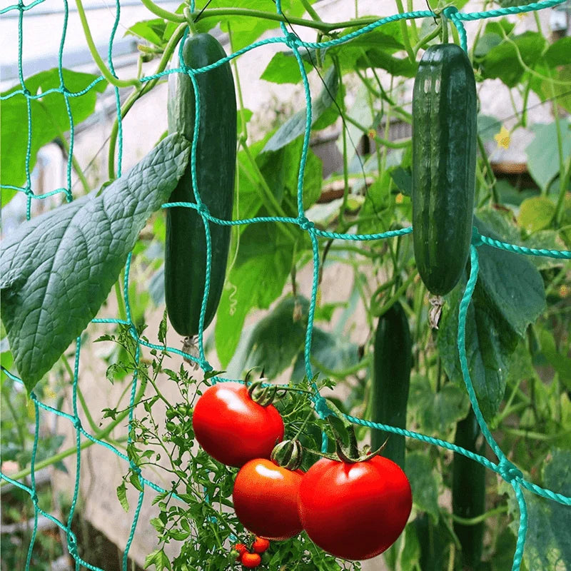 Plant Trellis Pergolas, Heavy-Duty Polyester Grow Net, Garden Trellis Netting With Square Mesh For Climbing Plants, Vegetables