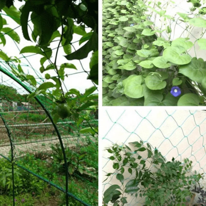 Plant Trellis Pergolas, Heavy-Duty Polyester Grow Net, Garden Trellis Netting With Square Mesh For Climbing Plants, Vegetables