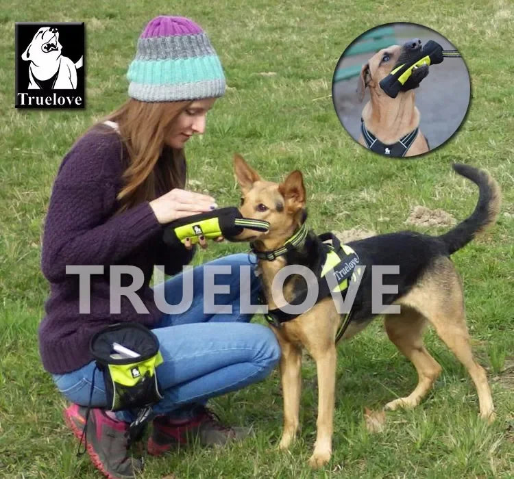 Truelove Futter Dummy Hund: Haustier Leckerli Tasche Reflektierend 3M - Training Tragen Spielzeug Nylon Griff S/M/L/XL 250ml-1L Orange Gelb