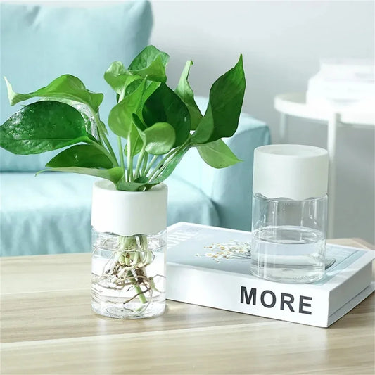 Mini Hydroponic Flower Pot Home Vase Decor Transparent Imitation Glass Soilless Plant Pots Green Plants Pot For Home Decoration - Golden Bridge Store